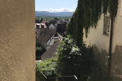 Burkheim